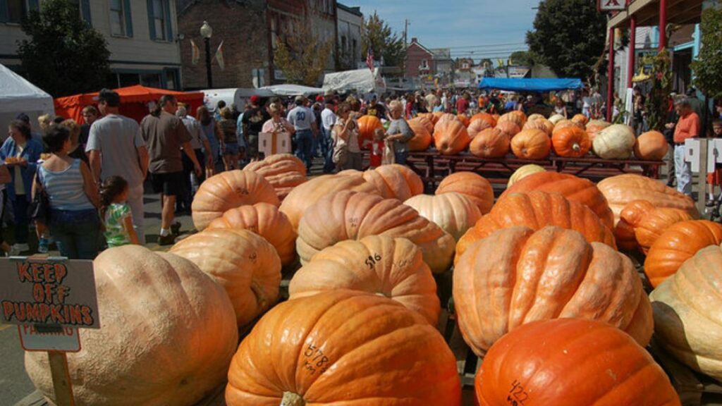 Smithville Pumpkin Festival 2025 Full Schedule, Admission Info, Grandstand Events and Highlights