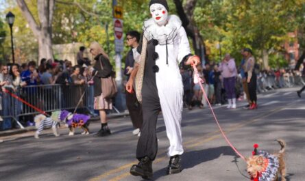 South Florida's Top Halloween 2025 Events Festivals, Parties, and Family Fun