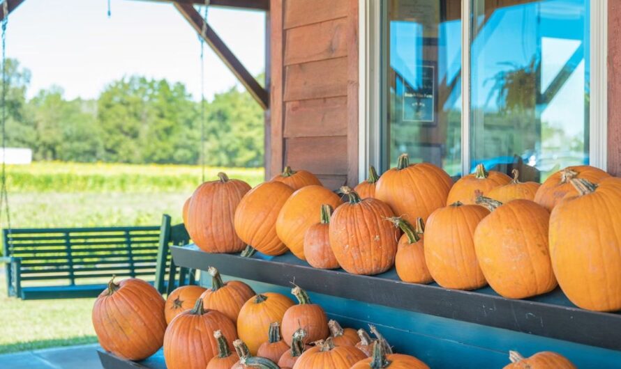 Statesville Pumpkin Festival 2025: Full Schedule, Rides, Games, Food, and Live Entertainment