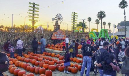 Valley Center Pumpkin Festival 2025 Full Schedule, Admission Info, Events Line-up and Competitions (1)