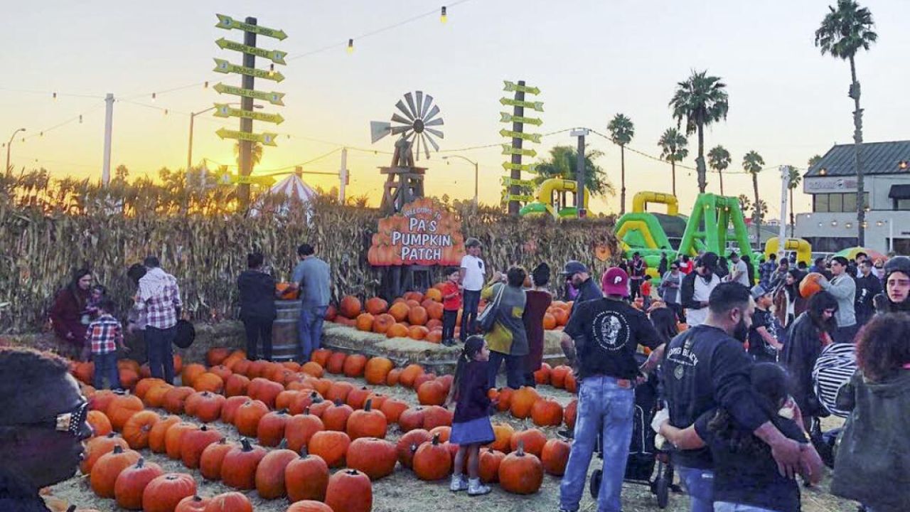 Valley Center Pumpkin Festival 2025 Full Schedule, Admission Info, Events Line-up and Competitions (1)