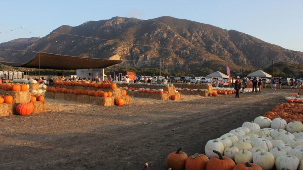 Valley Center Pumpkin Festival 2025 Full Schedule, Admission Info, Events Line-up and Competitions