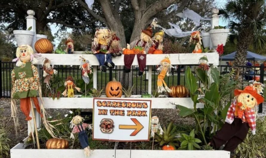 Village of Lake Park Fall Festival 2025: Schedule, Tickets, Food, Entertainment, and More