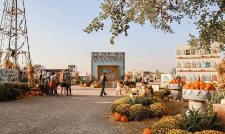 Waterloo Harvest Junkstock Vintage Festival 2025 Full Schedule, Admission Info, and Grandstand Events