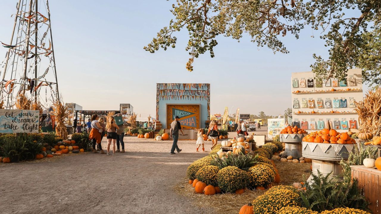 Waterloo Harvest Junkstock Vintage Festival 2025 Full Schedule, Admission Info, and Grandstand Events