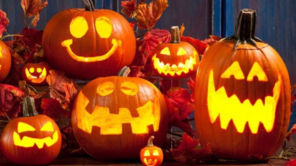 Waterloo Spooktacular Vendor Fair 2025 Full Schedule, Admission Info, and Vendor Highlights