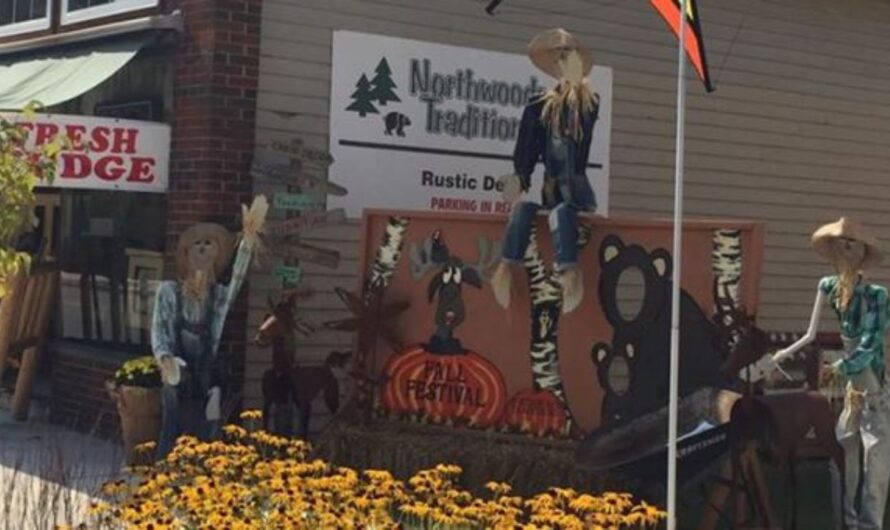 Wausaukee Fall Festival and Fair 2025: Full Schedule, Admission Info, and Events Line-up