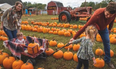 Wears Valley Fall Fest 2025 Full Schedule, Admission Info, and Grandstand Events and Rodeos (2)
