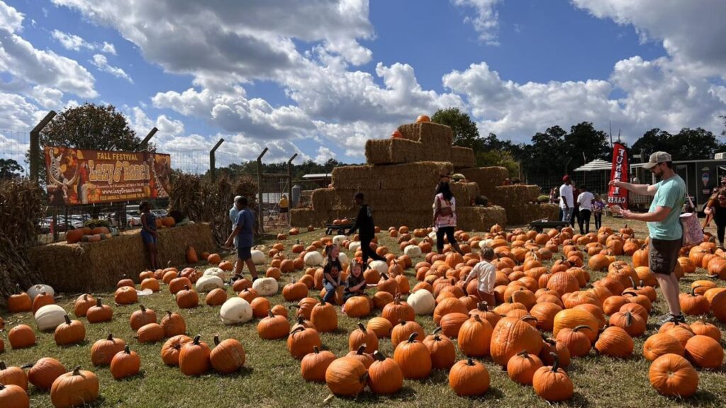 Wears Valley Fall Fest 2025 Full Schedule, Admission Info, and Grandstand Events and Rodeos (3)