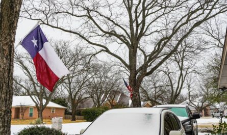 West Texas Braces for First Major Freeze of the Season as Temperatures Plunge (1)