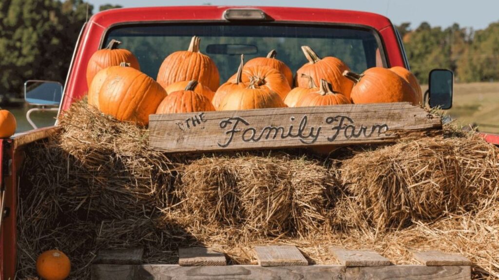 Wylie Fall Festival 2025 Full Schedule, Admission Info, and Family Activities