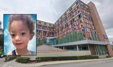 2-year-old Dies after Prescription Error at Gainesville Hospital Lawsuit Claims