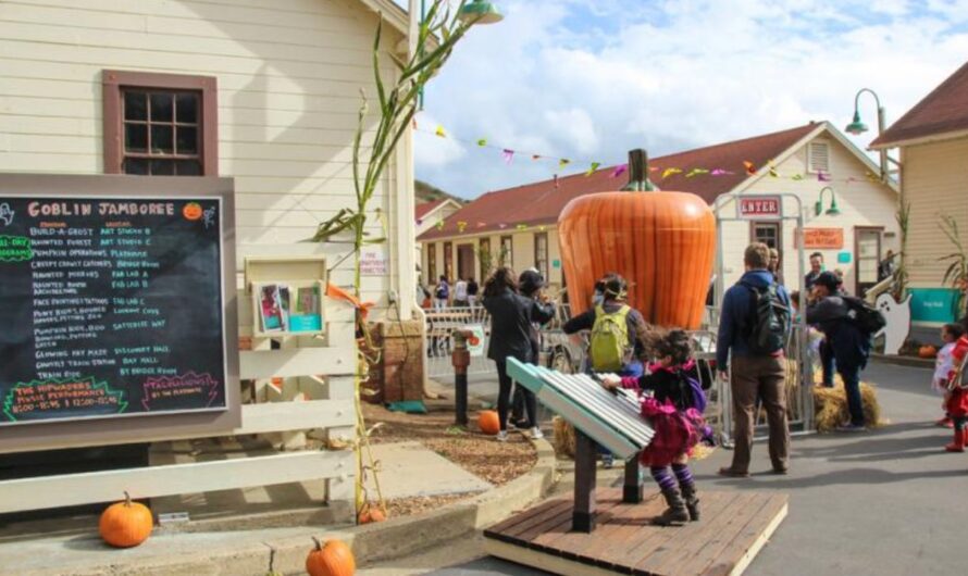Bell Family Fall Festival 2025: Schedule, Seasonal Foods, Petting Zoo, and Kids’ Activities