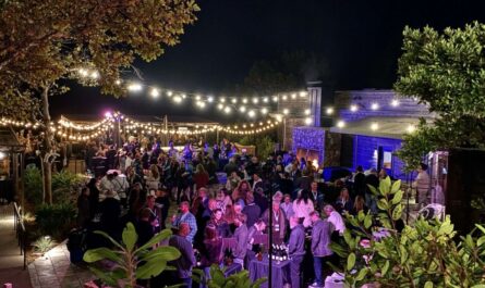 Big Sur Food and Wine Festival 2025 Dates, Location, Top Chefs, Wine Tastings, and Coastal Attractions (1)