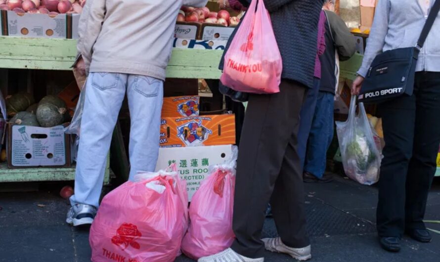 California to Ban Plastic Shopping Bags Starting January 1, 2026, Under New Law