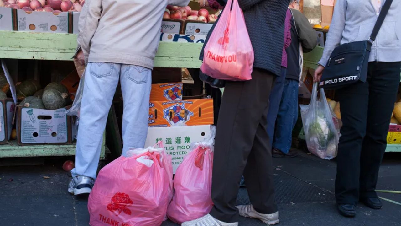 California to Ban Plastic Shopping Bags Starting January 1, 2026, Under New Law