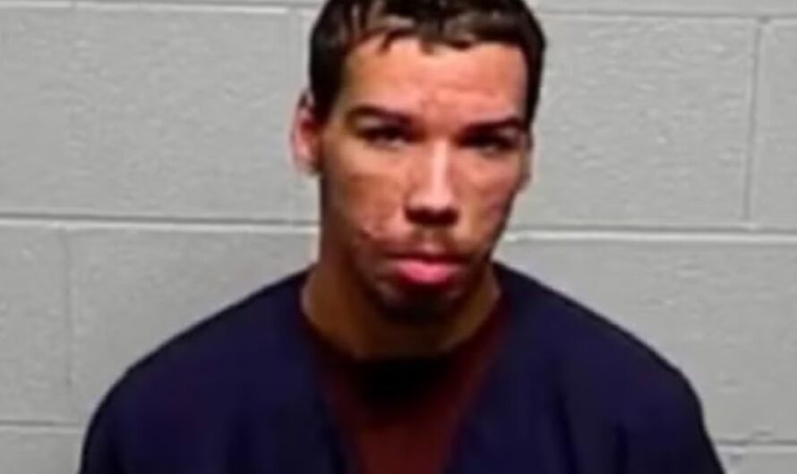 Chicago Man Arrested for Arson after Setting Family Home on Fire in Beach Park after Domestic Argument