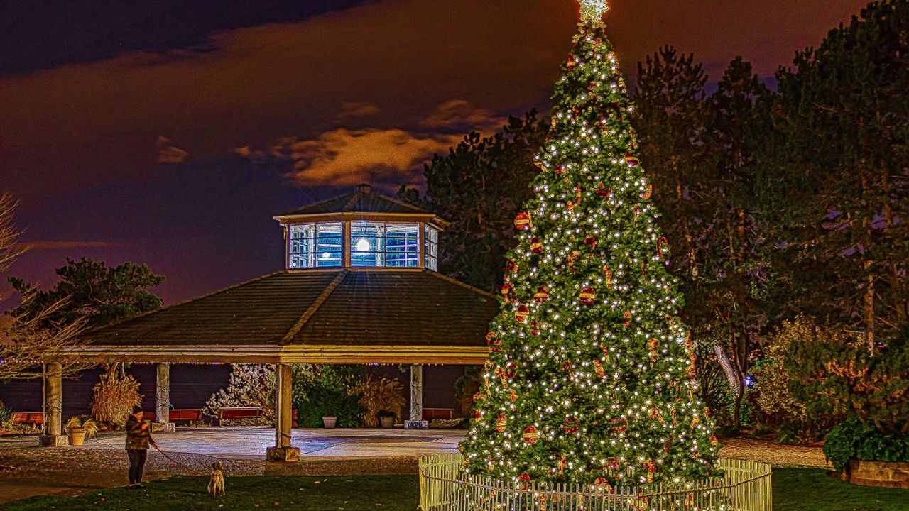 Cookeville Winterfest 2025 Full Guide to the November 22 Holiday Celebration in Tennessee