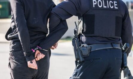 Couple Arrested for Target Shoplifting, Turned Over to ICE in Westbury
