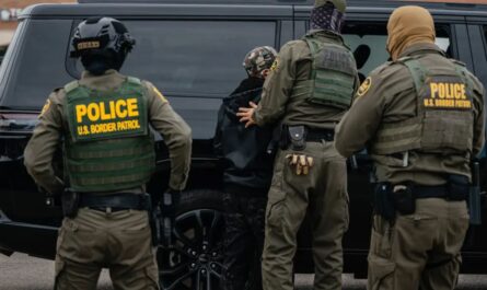 Court Orders 600+ ICE Detainees Freed in Illinois, DHS Condemns Ruling