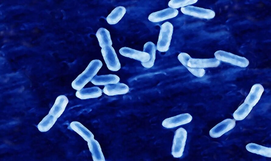 Deadly Listeria Outbreak Linked to Ready-to-Eat Meals: Six Dead, 27 Hospitalized Across 18 States