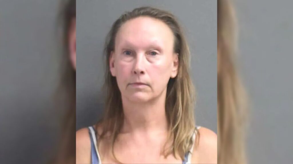 Finnish Woman Facing Deportation after Allegedly Throwing Coffee on Baby, Mother, and Dog in Florida (1)