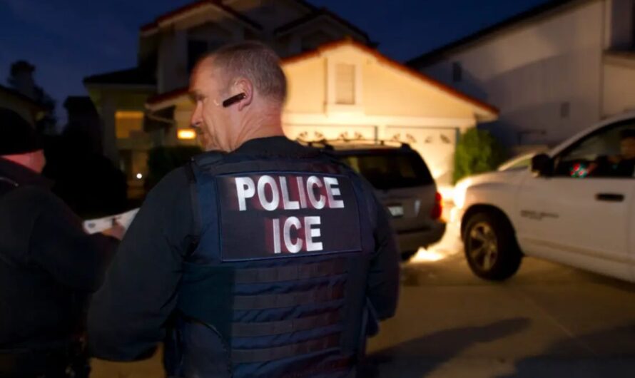 Finnish Woman Facing Deportation after Allegedly Throwing Coffee on Baby, Mother, and Dog in Florida