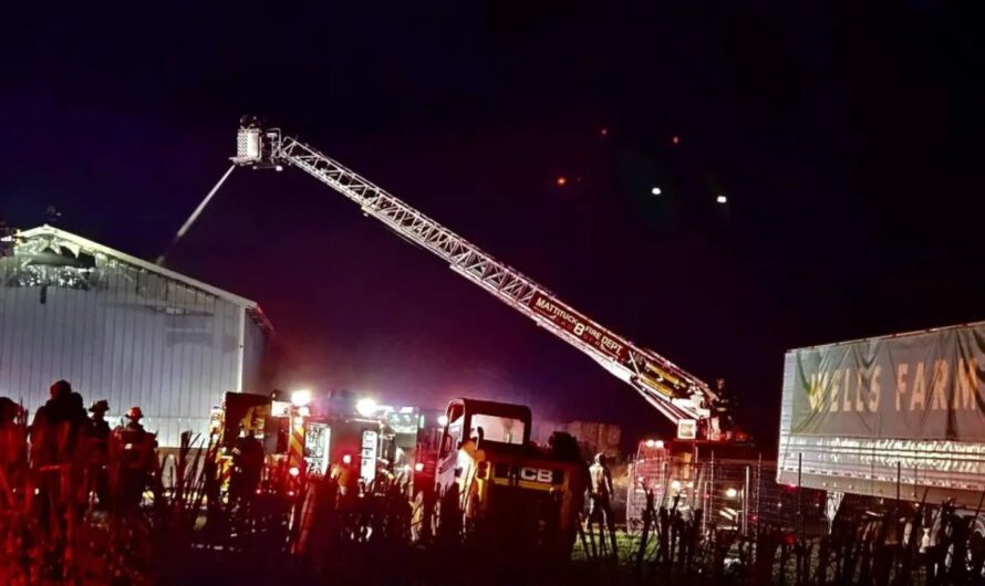 Fire Ravages Long Island Wells Farm, Leaving Family and Animals Devastated