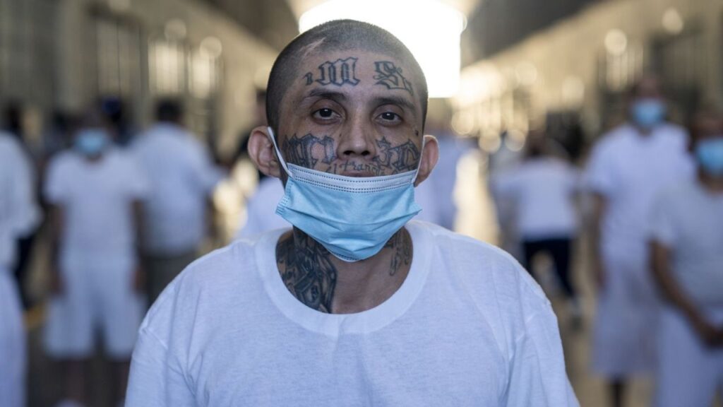 Florida’s Five Most Dangerous Gangs and Their Rising Influence