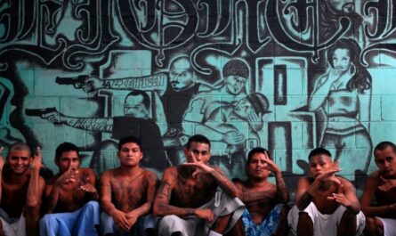 Florida’s Five Most Dangerous Gangs and Their Rising Influence