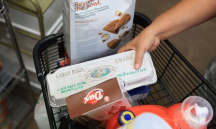 Full List Stores Helping SNAP Families During Government Shutdown