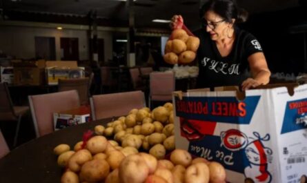 Los Angeles County to Host Four Major Food Distribution Events Amid Federal Shutdown