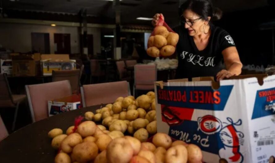 Los Angeles County to Host Four Major Food Distribution Events Amid Federal Shutdown
