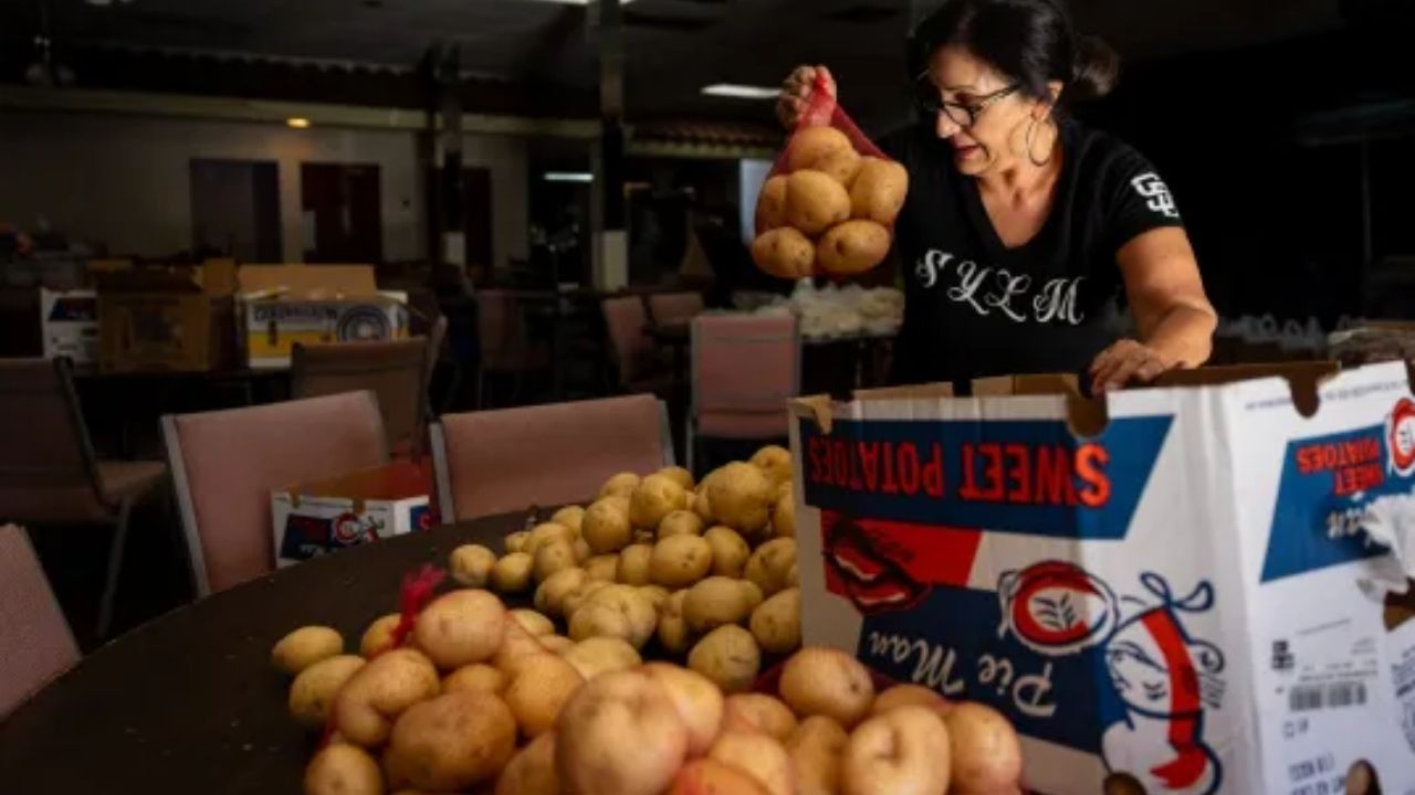 Los Angeles County to Host Four Major Food Distribution Events Amid Federal Shutdown