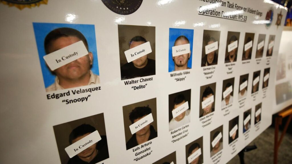 MS-13 Members Allegedly Killed Victims in Los Angeles Mountains as Gang Initiation; Federal Jury Hears Grisly Details (1)