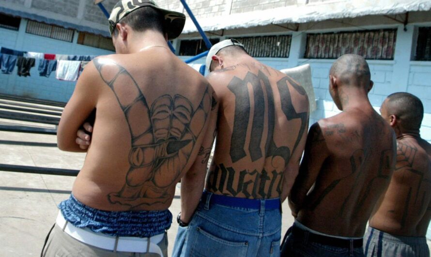 MS-13 Members Allegedly Killed Victims in Los Angeles Mountains as Gang Initiation; Federal Jury Hears Grisly Details