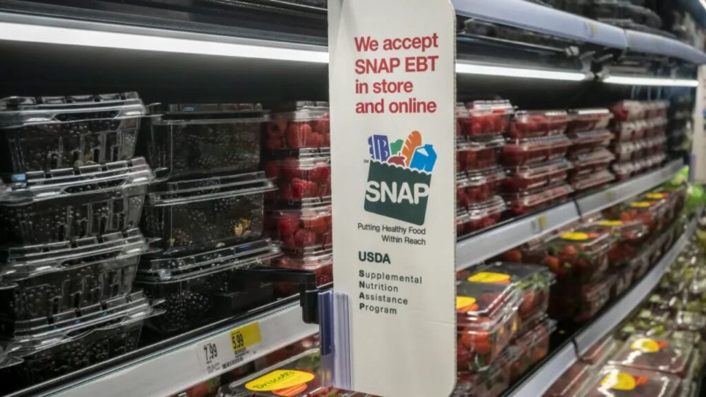 Major SNAP Benefit Changes Begin in December as Work Requirements Tighten Nationwide (1)