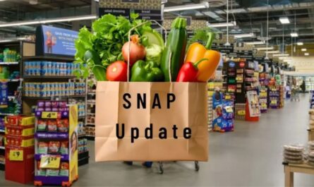 Major SNAP Benefit Changes Begin in December as Work Requirements Tighten Nationwide