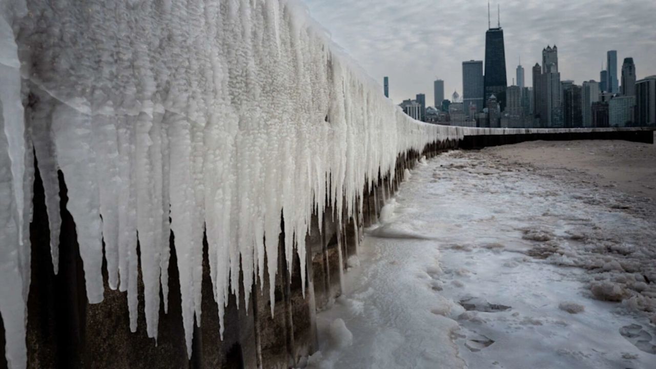 Florida Shivers Under Record-Breaking Cold Snap: Iguanas Falling From Trees as Temperatures Plunge
