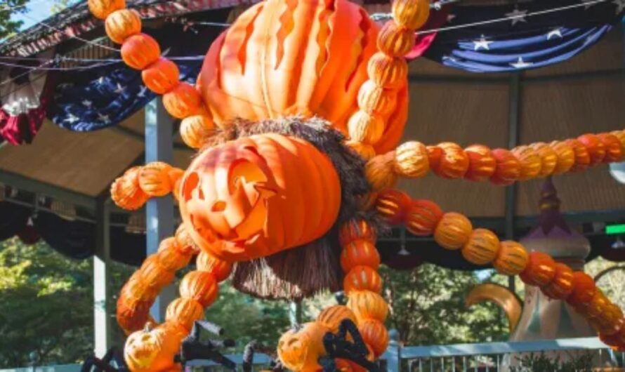 Missouri City Fall Festival 2025: Date, Time, Food Vendors, Live Music, and Family Activities