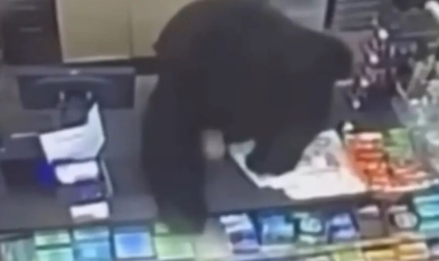 Pennsylvania Boy, 11, Escapes after Black Bear Chases Him into Dollar Store