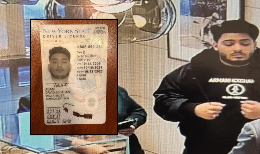 Romanian Criminal Arrested after Brazen Heist using Celebrity Identity; Used Loopholes in DMV to get License