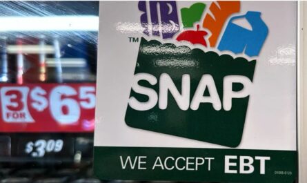 SNAP Funding Faces Delays Amid Legal Showdown Over Full Benefits