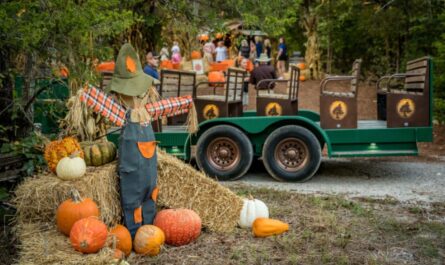 Springfield Fall Festival 2025 Schedule, Vendors, and Attractions in Springfield, Georgia