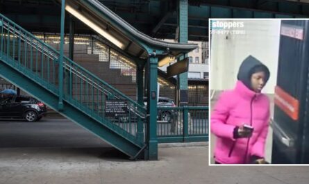 Subway Rider Slashed During Chain Theft Attempt as Police Tracks Multiple Recent Transit Attacks in New York City
