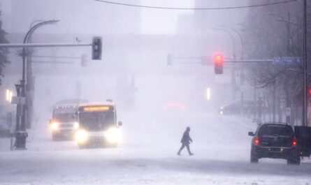 Thanksgiving Winter Storm Live Tracker, 2,000 Flights Delayed, Up To 3 ft Of Snow Expected; Weather Alerts Issued