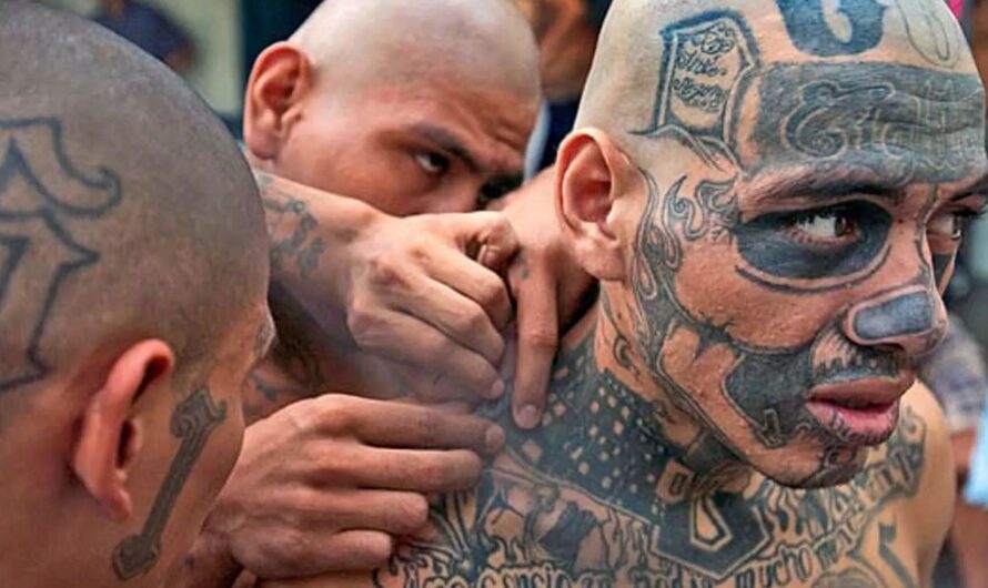 The 5 Deadliest Gangs in Indiana and Their Growing Influence