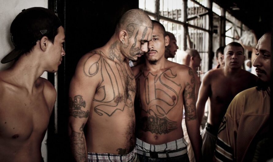 The 5 Most Dangerous Gangs in Ohio and Their Expanding Power