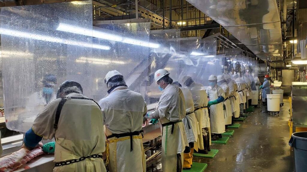 Tyson Foods Announces Major Layoffs Amid Beef Industry Struggles in Texas and Nebraska (1)