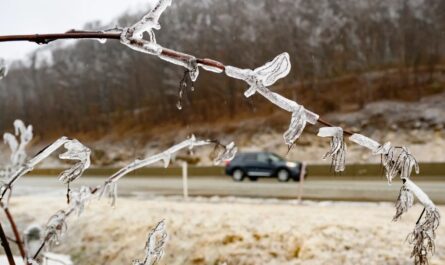Wintry Mix of Freezing Rain, Sleet, and Snow Expected Across Northeast This Weekend